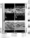 Fig. 09 - Method and system for rule based display of sets of images using image content derived parameters
