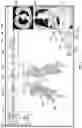 Fig. 03 - SYSTEM AND METHOD FOR ANNOTATION OF ANATOMICAL TREE STRUCTURES IN 3D IMAGES