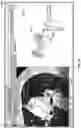 Fig. 35 - SYSTEM AND METHOD FOR ANNOTATION OF ANATOMICAL TREE STRUCTURES IN 3D IMAGES