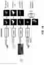 Fig. 19 - Self-supervised single-view 3D reconstruction via semantic consistency