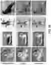Fig. 21 - Self-supervised single-view 3D reconstruction via semantic consistency