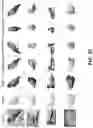 Fig. 23 - Self-supervised single-view 3D reconstruction via semantic consistency