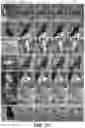 Fig. 26 - Self-supervised single-view 3D reconstruction via semantic consistency