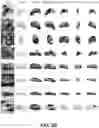Fig. 29 - Self-supervised single-view 3D reconstruction via semantic consistency