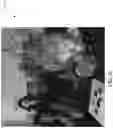 Fig. 18 - REPRESENTATIONS IN ARTIFICIAL REALTY