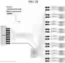 Fig. 17 - Augmented Reality Platform Systems, Methods, and Apparatus