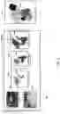 Fig. 05 - Scalable three-dimensional object recognition in a cross reality system