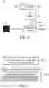 Fig. 06 - Image recognition method and system based on deep learning