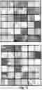 Fig. 09 - Machine learning using distance-based similarity labels