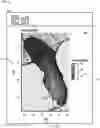 Fig. 01 - Catastrophe analysis via realtime windspeed and exposure visualization