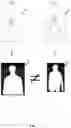 Fig. 08 - Classification of subjects within a digital image