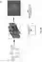 Fig. 09 - Missing traffic face detector