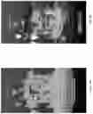 Fig. 05 - Method and System to generate a fillable digital scape (FDS) to reinforce mind integration