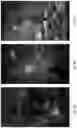 Fig. 07 - Method and System to generate a fillable digital scape (FDS) to reinforce mind integration