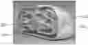 Fig. 01 - Multimodality anthropomorhic phantom apparatus