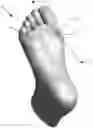Fig. 01 - Apparatus and Method for Teaching Wound Debridement