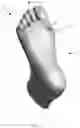 Fig. 02 - Apparatus and Method for Teaching Wound Debridement