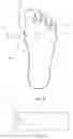 Fig. 07 - Apparatus and Method for Teaching Wound Debridement