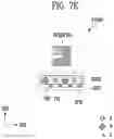 Fig. 13 - Display device having a plurality of pixel arrangement structures
