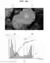 Fig. 14 - Signal processing device to improve contrast of a displayed image