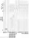Fig. 13 - Scan driver