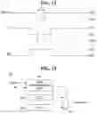 Fig. 13 - Display panel and display device using the same