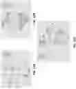 Fig. 12 - System and methods for training task-oriented dialogue (TOD) language models