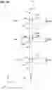 Fig. 34 - Memory cell arrangement and method thereof