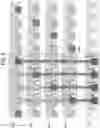 Fig. 06 - Stacked semiconductor device