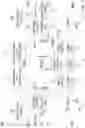 Fig. 04 - Static random access memory with adaptive precharge signal generated in response to tracking operation