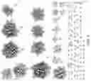 Fig. 05 - RECOMBINASE-RECOGNITION SITE PAIRS AND METHODS OF USE