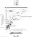 Fig. 08 - Methods for preparing nucleic acid libraries for sequencing