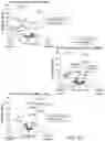 Fig. 10 - Methods for preparing nucleic acid libraries for sequencing