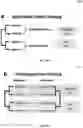Fig. 29 - APPARATUSES, SYSTEMS, AND METHODS FOR EXTRACTING MEANING FROM DNA SEQUENCE DATA USING NATURAL LANGUAGE PROCESSING (NLP)