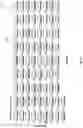 Fig. 38 - APPARATUSES, SYSTEMS, AND METHODS FOR EXTRACTING MEANING FROM DNA SEQUENCE DATA USING NATURAL LANGUAGE PROCESSING (NLP)