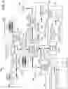 Fig. 04 - Quality score compression