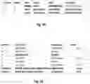 Fig. 06 - MAPPING PATHOLOGY AND RADIOLOGY ENTITIES