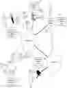 Fig. 02 - Ambient clinical intelligence system and method