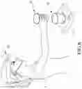 Fig. 07 - Augmented reality interactive rehabilitation system