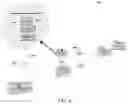 Fig. 06 - Inventory management through image and data integration