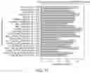 Fig. 30 - System and method for identifying transdiagnostic features shared across mental health disorders