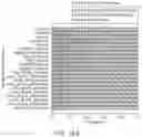 Fig. 31 - System and method for identifying transdiagnostic features shared across mental health disorders