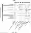 Fig. 44 - System and method for identifying transdiagnostic features shared across mental health disorders
