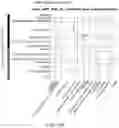 Fig. 49 - System and method for identifying transdiagnostic features shared across mental health disorders