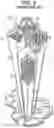 Fig. 03 - Fuel assembly with outer channel including reinforced sidewall and non-reinforced sidewall