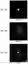 Fig. 04 - SOLAR CELL