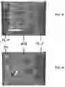 Fig. 07 - Electrolyte for a supercapacitor
