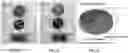 Fig. 09 - Electrolyte for a supercapacitor