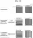 Fig. 21 - Charged particle beam device