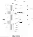 Fig. 11 - MACROSCOPIC TEXTURING FOR ANODIZED AND COATED SURFACES